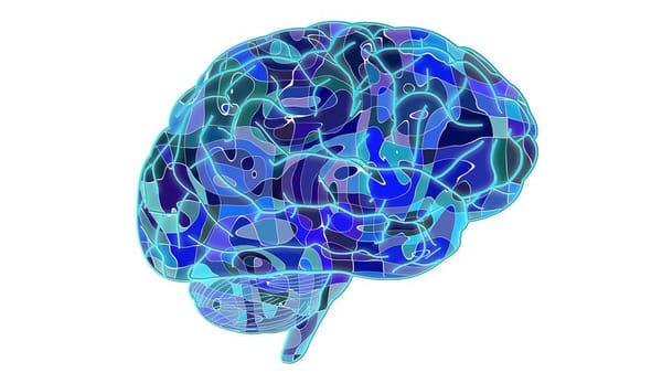 The Science of Learning: Understanding How Your Brain Acquires Knowledge